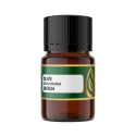 Olive Oil / Minyak Zaitun | Olea Europaea