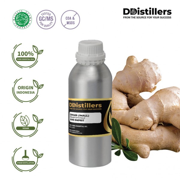 EXPORT - GINGER SMALL ESSENTIAL OIL 100 % PURE