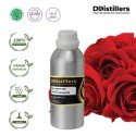 Rose Absolute oil / Minyak Mawar Absolut | Rose Hybrida