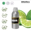 Kaffir Lime Fruit Oil / Minyak Buah Jeruk Purut | Citrus Hystrix