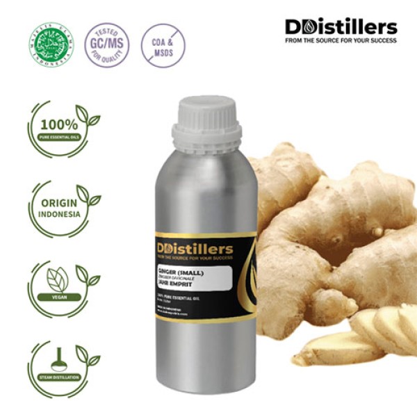 GINGER SMALL ESSENTIAL OIL 100 % PURE