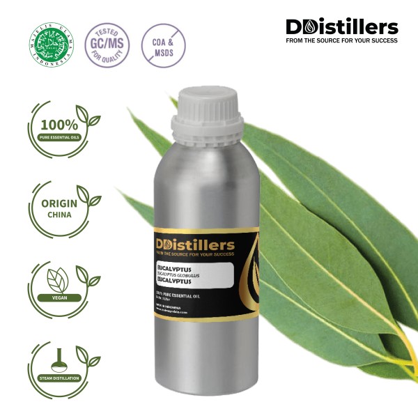Eucalyptus Oil / Minyak Eucalyptus | Eucalyptus Globulus