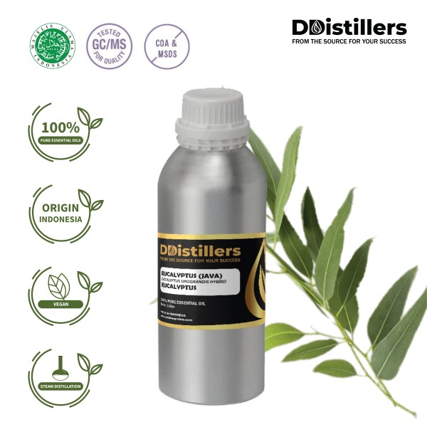 Eucalyptus Java Oil / Minyak Eucalyptus | Eucalyptus Urograndis Hybrid